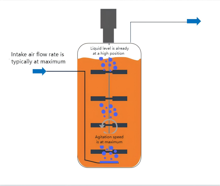 kappframework-cipuEt(1)(1).png