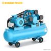 Customized Plant Extraction High-Purity Oil-Free Air Compressors